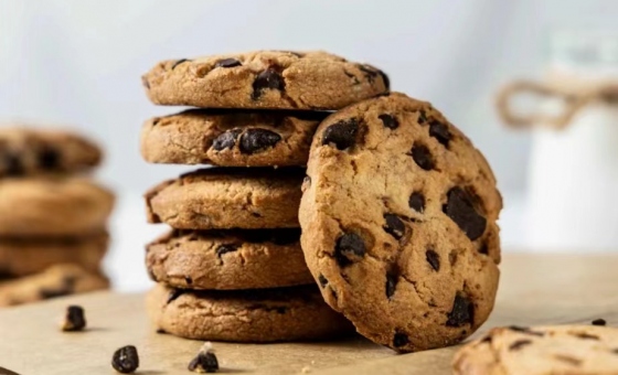 xc sports(中国区)-官方网站